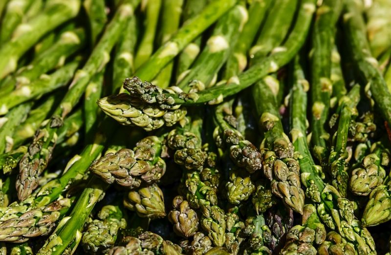 asparagus-3440348_960_720